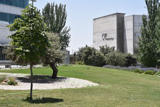 DIPUTACIÓN DE GRANADA 