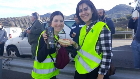 Cooperativas de Montefrío donarán aceite (AYTO. MONTEFRÍO) 