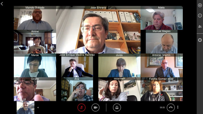 Videoconferencia del equipo de gobierno (DIPUTACIÓN) 