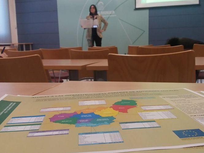 La delegada territorial de Agricultura, Ganadería, Pesca y Desarrollo Sostenible de la Junta en Granada, María José Martín, en una imagen de archivo (JUNTA) 