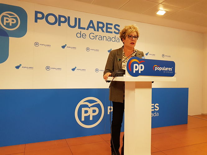 Maria Angustias Cámara, diputada provincial del PP (PP)