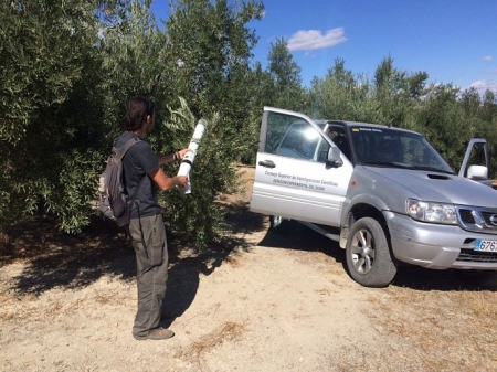 Recogida de muestras para el estudio (EEZ CSIC) 