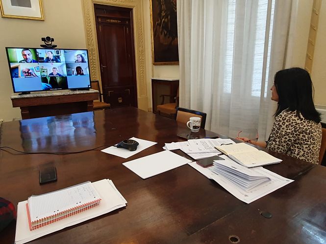 Videoconferencia de la subdelegada con las instituciones que componen la comisión (SUBDELEGACIÓN) 