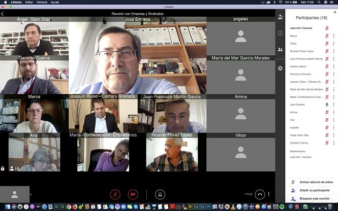 Presidente de la Diputación de Granada, José Entrena, en una videoconferencia (DIPUTACIÓN DE GRANADA) 
