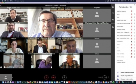 Presidente de la Diputación de Granada, José Entrena, en una videoconferencia (DIPUTACIÓN DE GRANADA) 