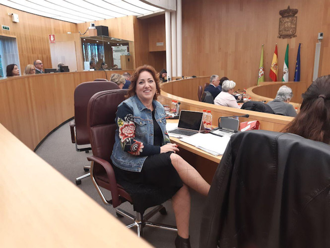 Mari Carmen Pérez, Diputada Provincial de IU (IZQUIERDA UNIDA) 