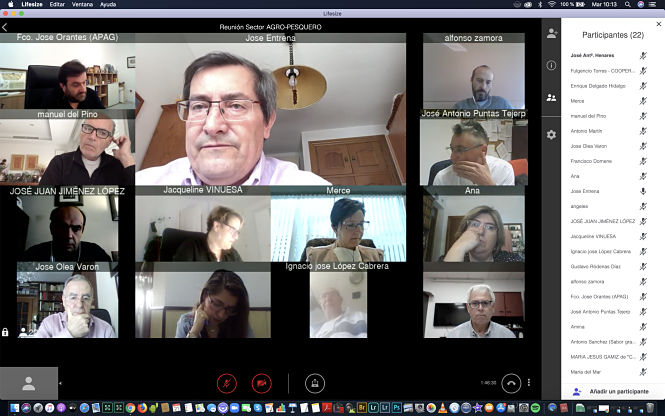 Reunión mediante videoconferencia con los sectores agroganaderos (DIPUTACIÓN) 
