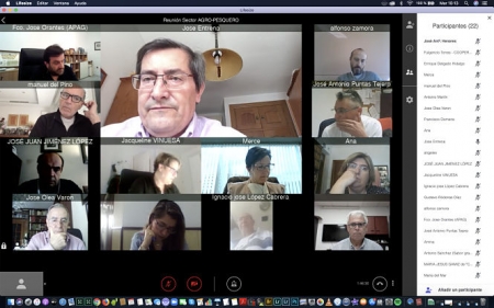 Reunión mediante videoconferencia con los sectores agroganaderos (DIPUTACIÓN) 