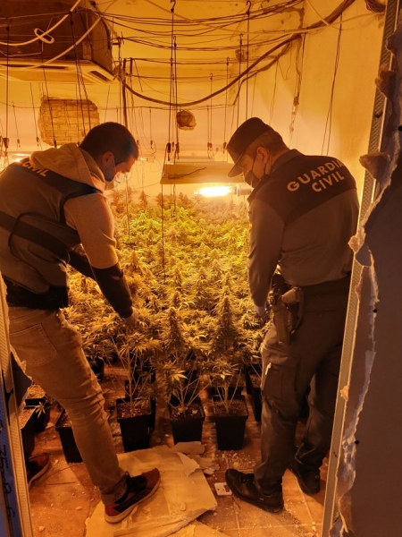 Una de las plantaciones descubiertas ( GUARDIA CIVIL)