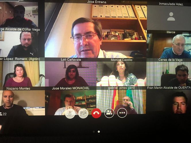 Reunión por videoconferencia (DIPUTACIÓN) 