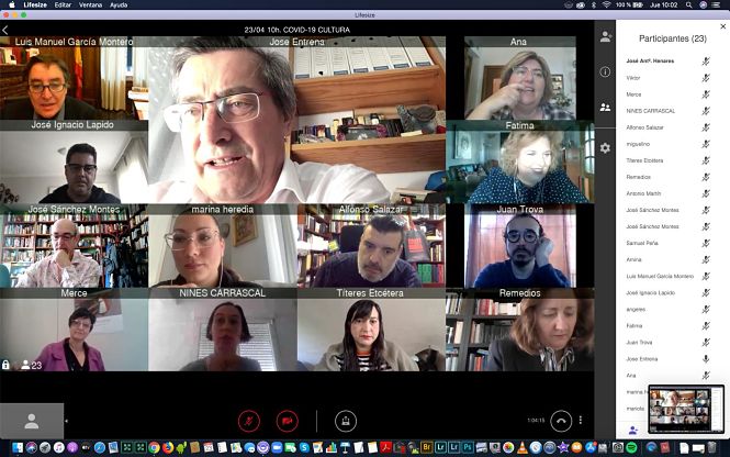 José Entrena se ha reunido telemáticamente con representantes del sector cultural (DIPUTACIÓN) 