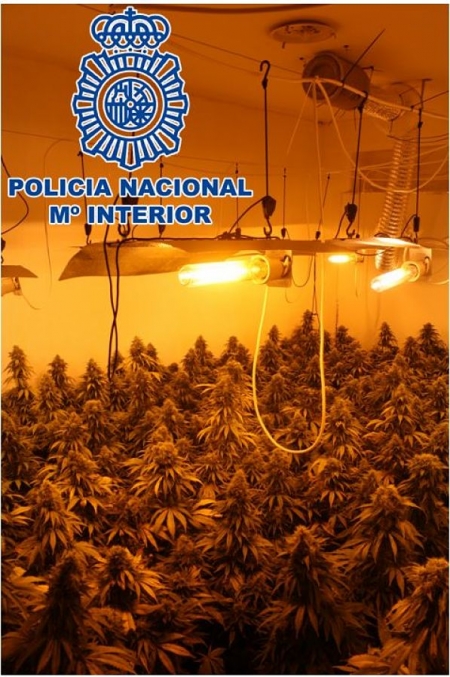 Una de las plantaciones desmanteladas (POLICÍA NACIONAL) 