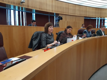 Cristina Jiménez, Diputada provincial de Vox (VOX GRANADA)