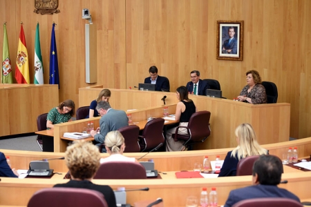 Imagen de archivo de un Pleno de Diputación (J. GROSSO / DIPGRA) 