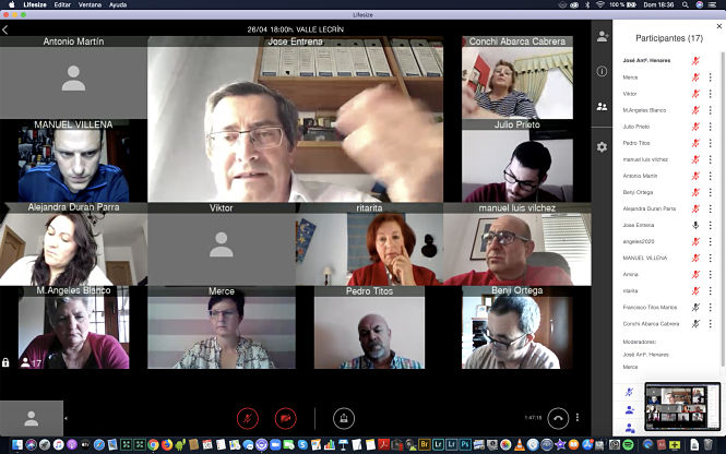 Reunión por videoconferencia con los alcaldes del Valle de Lecrín (DIPUTACIÓN) 