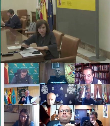 Sandra García durante la video reunión con el CECOR (GOBIERNO) 