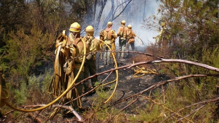 Miembros del Infoca durante un operativo (INFOCA) 