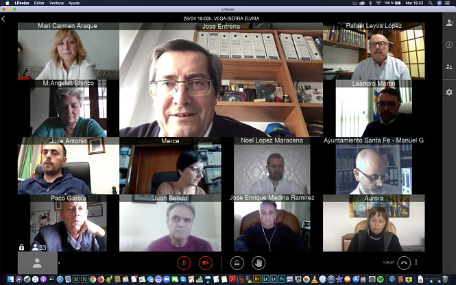 Reunión telemática con los alcaldes y alcaldesas (DIPUTACIÓN)