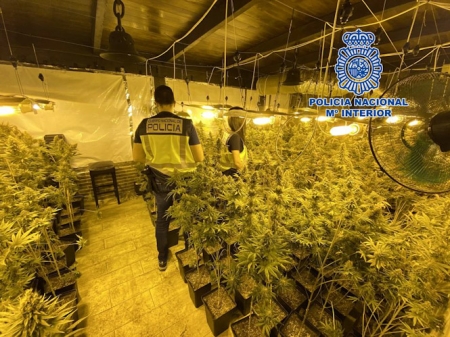 Plantación de marihuana en Salobreña (POLICÍA NACIONAL)