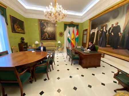 Luis Salvador y Manuel Olivares en la asamblea telemática (AYUNTAMIENTO) 