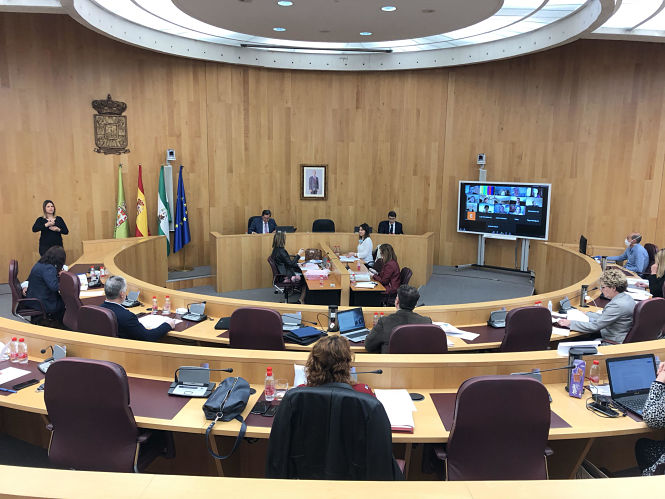 Pleno ordinario del Mes de Abril de Diputación (DIPUTACIÓN) 