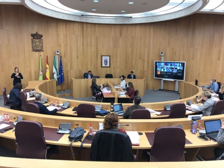 Pleno ordinario del Mes de Abril de Diputación (DIPUTACIÓN) 