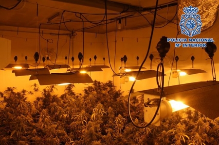 Una de las plantaciones de marihuana (POLICÍA NACIONAL) 