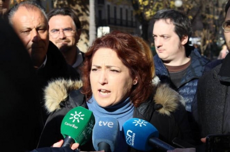 Mari Carmen Pérez, coordinadora provincial de IU (IU) Mari Carmen Pérez, coordinadora provincial de IU (IU)