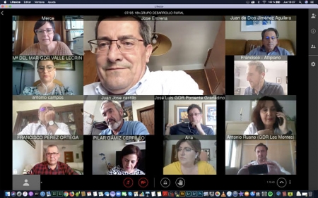 Imagen de la videoconferencia con los Grupos de Desarrollo Rural (DIPUTACIÓN) 