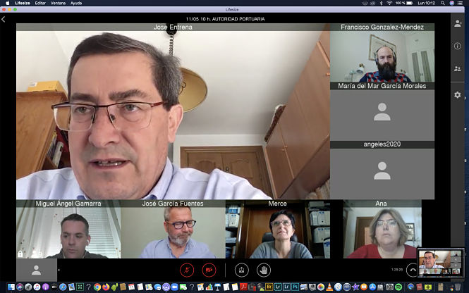 Reunión telemática entre Diputación y Puerto de Motril (DIPUTACIÓN) 