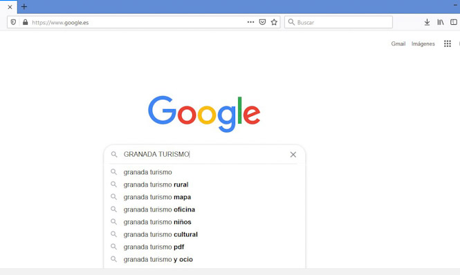 Imagen del buscador Google (DIPUTACIÓN) 