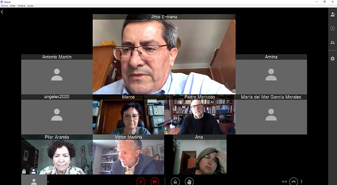 Reunión telemática con la UGR (DIPUTACIÓN) 