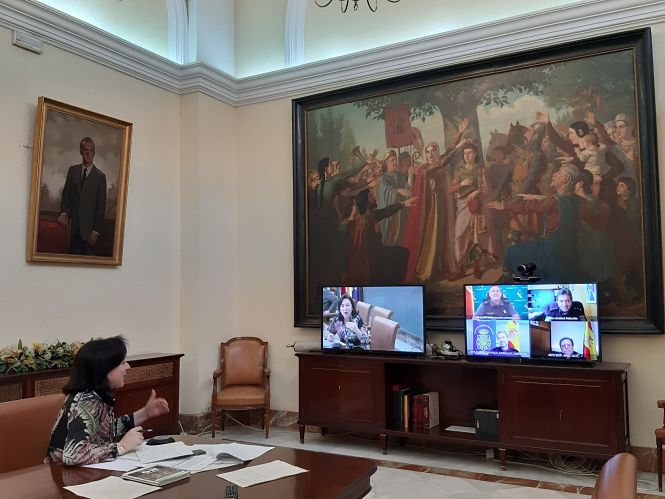 Rueda de prensa telemática de Sandra García (DELEGACIÓN DEL GOBIERNO) 