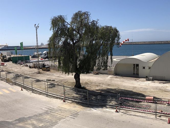 Obras de remodelación en el vial principal en el Puerto de Motril (PUERTO DE MOTRIL) 