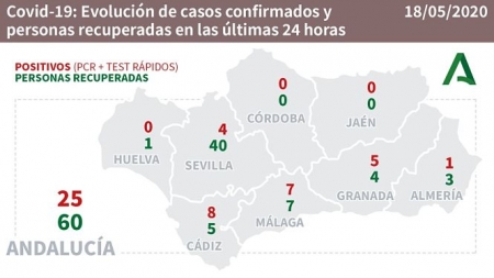 Evolución de la pandemia en Andalucía en las últimas 24 horas (CONSEJERÍA DE SALUD) 