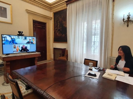 Reunión telemática de coordinación policíal (SUBDELEGACIÓN) 