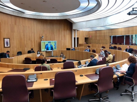 Pleno Extraordinario de Diputación (DIPUTACIÓN) 