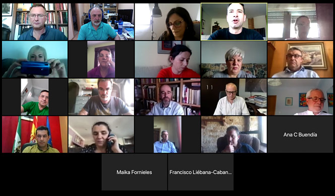 Reunión telemática (GDR) 