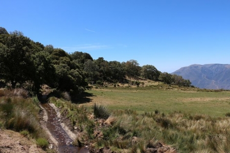 Zona de estudio en el Parque Nacional de Sierra Nevada (JORGE GARRIDO) 