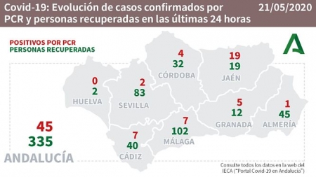 Evolución diaria de la pandemia en Andalucía (CONSEJERÍA DE SALUD) 