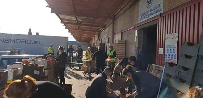 Banco de Alimentos de Granada (ENDESA) 