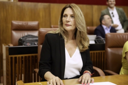 Concha Insúa, parlamentaria andaluza de CS (CIUDADANOS) Concha Insúa, parlamentaria andaluza de CS (CIUDADANOS)