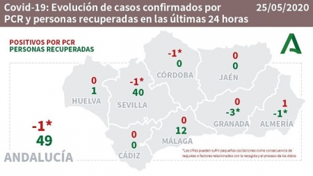 Evolución de la pandemia en Andalucía (CONSEJERÍA DE SALUD) 