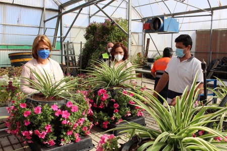 Plantas que decorarán el Centro Comercial Abierto (AYTO. MOTRIL) Plantas que decorarán el Centro Comercial Abierto (AYTO. MOTRIL)