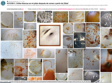 CAJA GRANADA FUNDACIÓN 