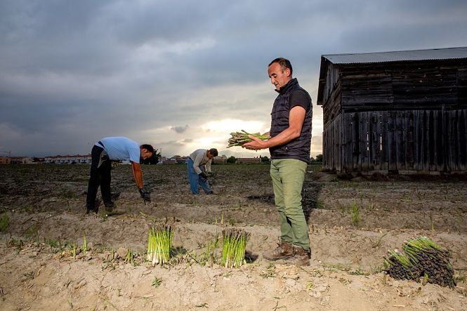 Cooperativa Los Gallombares, en una imagen facilitada por Carrefour (WWW.REPORTFOTOGRAFIA.ES) 