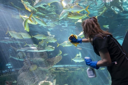 Una operaria realiza tareas de limpieza y desinfección (PARQUE DE LAS CIENCIAS) 