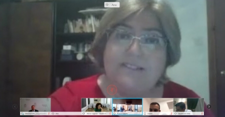 Ana Muñoz durante la reunión telemática (DIPUTACIÓN)