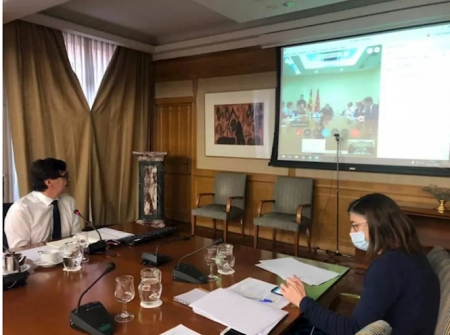 El ministro de Sanidad, Salvador Illa, mantiene una videoconferencia (MINISTERIO DE SANIDAD)