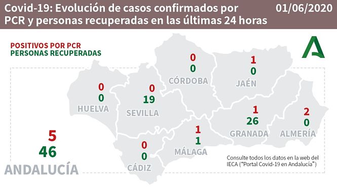 Evolución diaria de la pandemia en Andalucía (CONSEJERÍA DE SALUD) 
